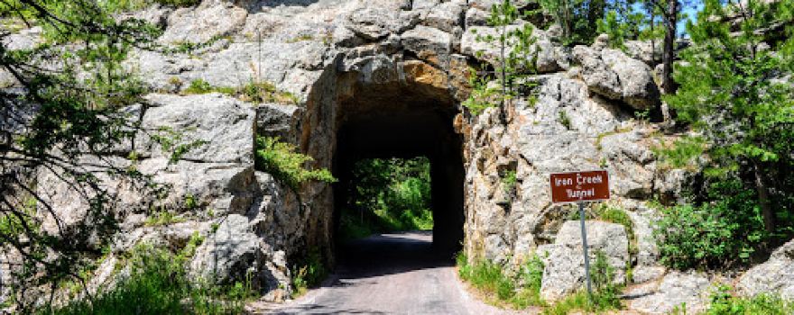 Custer State Park