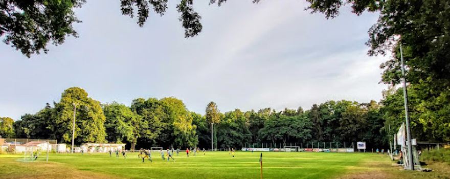 Sports field in the plants
