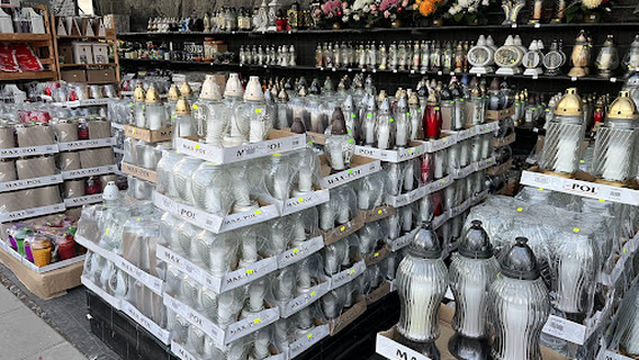 Ekodrew - Choinki i Rośliny u Marcina