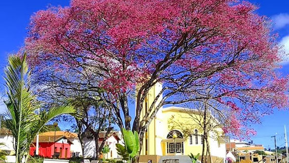 Praça São Benedito