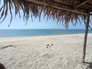 Playa Sea Cliff