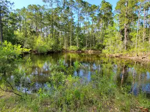コブ・キャンプ・オシオラ