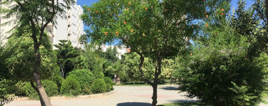 Parc public
