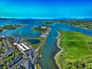 Westport Cruises