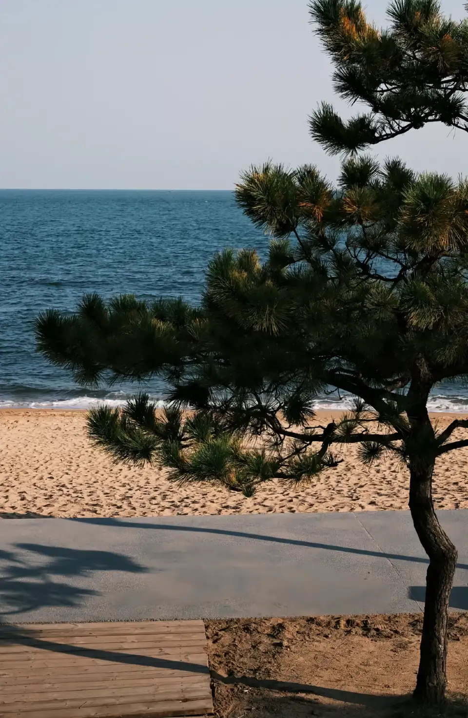 3_第三海水浴場