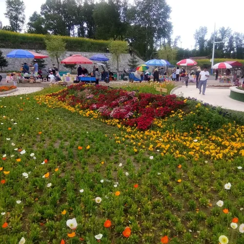 和政薰衣草莊園