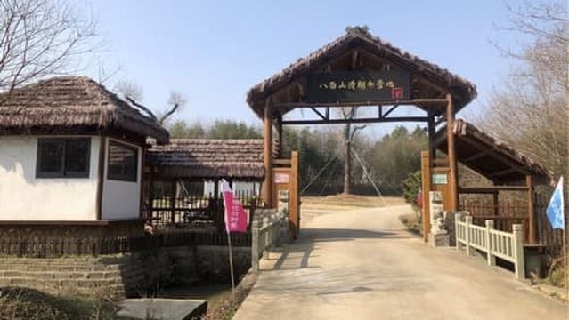 Bamian Mountain Paragliding Camp