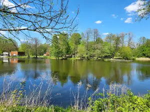 Park on the mill