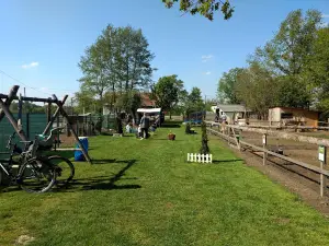 Mini Zoo - Gospodarstwo Agroturystyczne