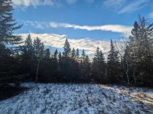 J.J. Collett Natural Area