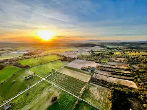 Globus Mallorca Balloons