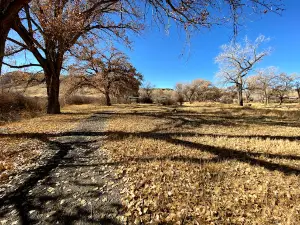 Gunnison River Pleasure Park