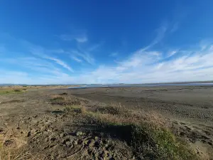 Costa Pacifico Ecocamping