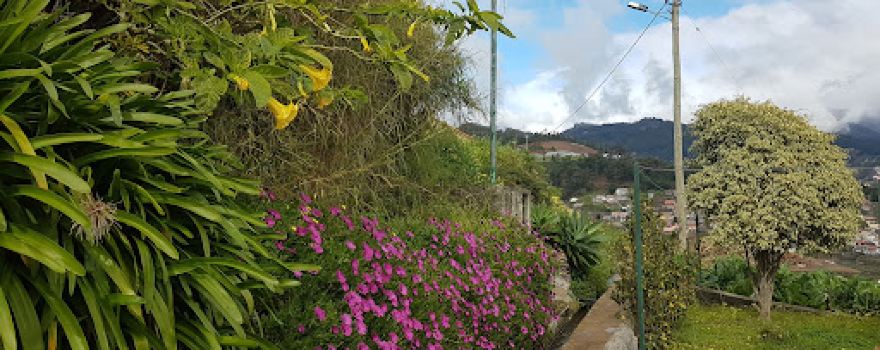 Levada do Norte