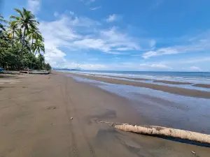 Pantai Lolan