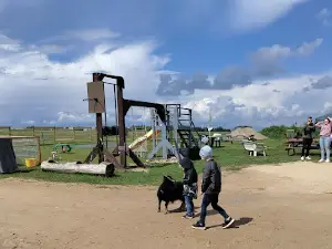 Talu ja loomad