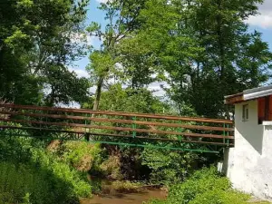 CAMP PLUM
