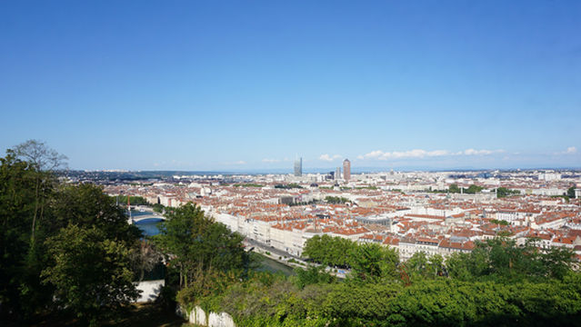 Garden of Curiosities