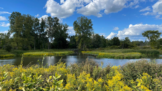 Matthaei Botanical Gardens