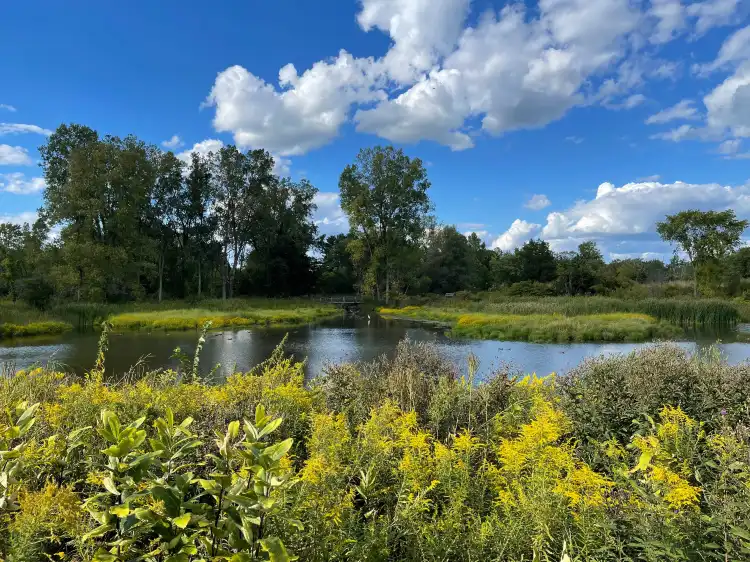 Hôtels à : Ann Arbor Charter Township