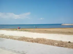Beach Black Stones