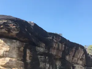Udaigiri Caves