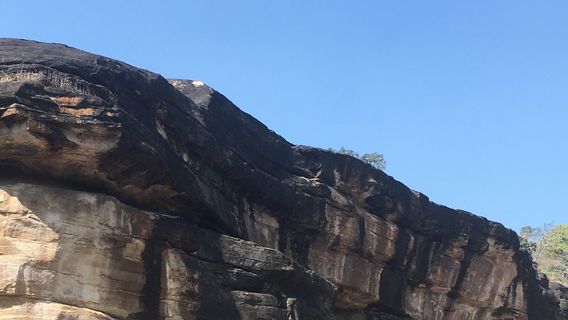 Udaigiri Caves