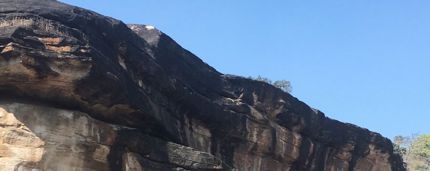 Udaigiri Caves