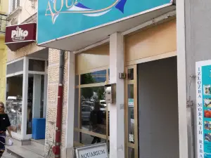 Aquarium Crikvenica