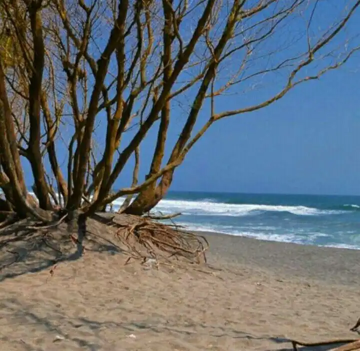 Hotels near Goa Cemara Beach
