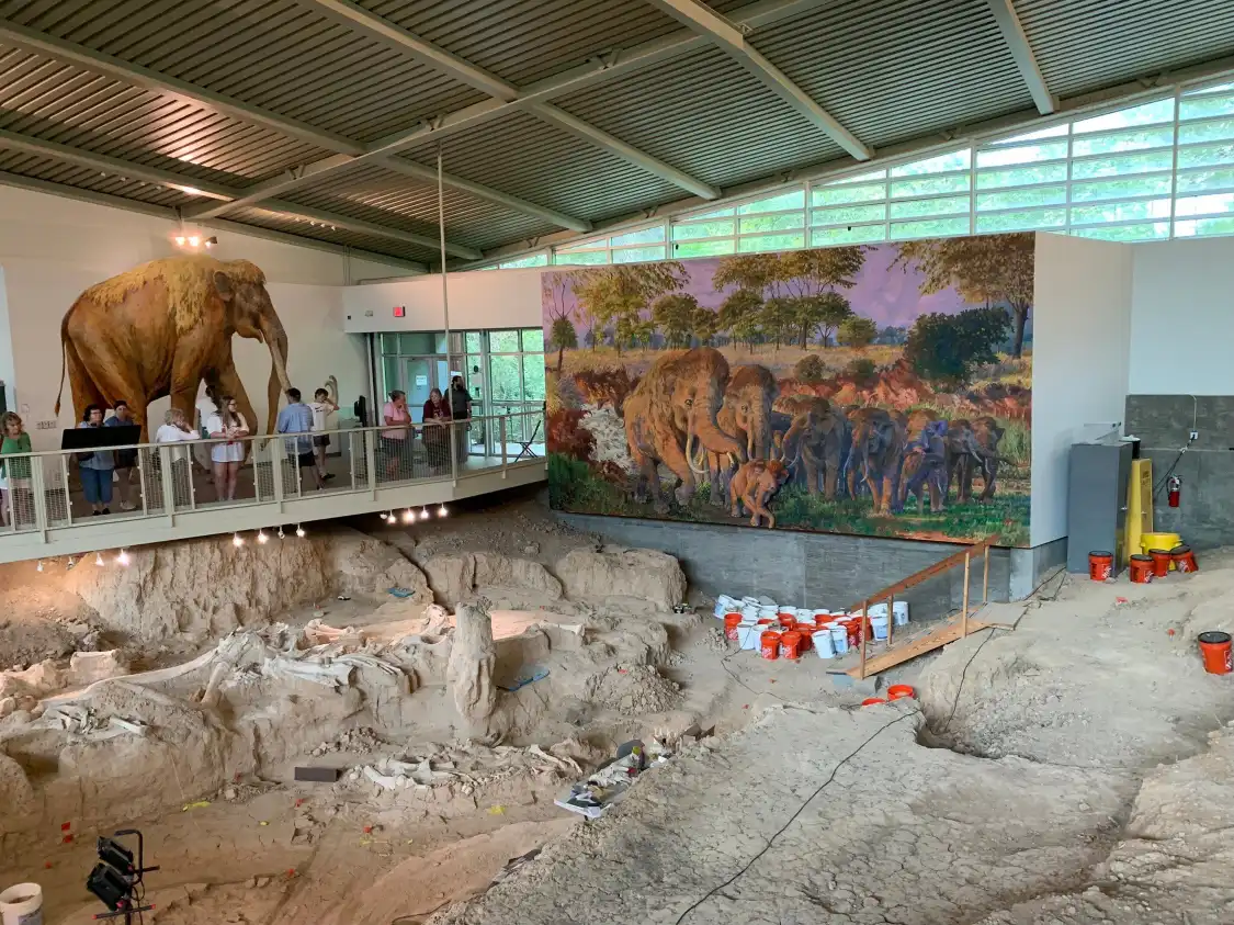Hotels near Waco Mammoth National Monument