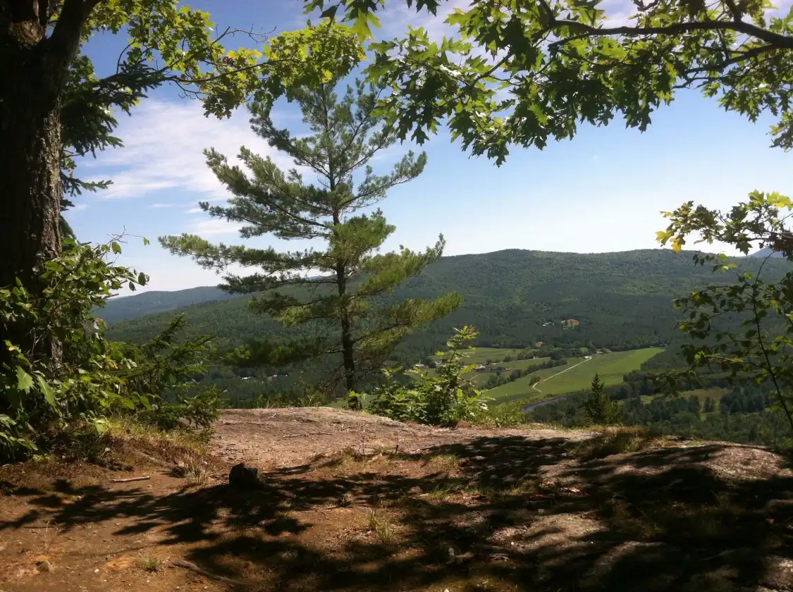 Hotels near Mount Will Walking Trail