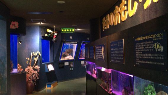 Teradomari Aquarium