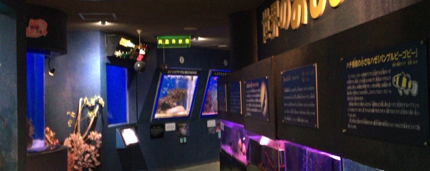 長岡市寺泊水族博物館