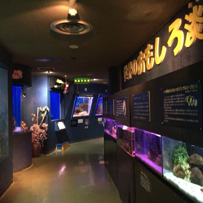 Teradomari Aquarium