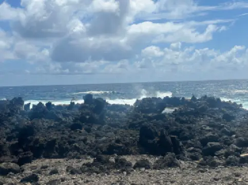 Polynesian Adventure