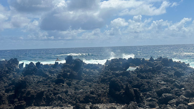 Polynesian Adventure