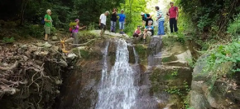 Hotels in Aydin