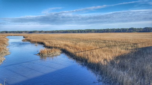 Chincoteague National Wildlife Refuge