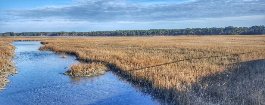 Chincoteague National Wildlife Refuge