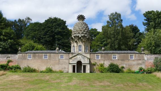 The Pineapple