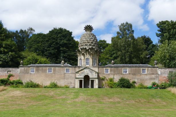 The Pineapple