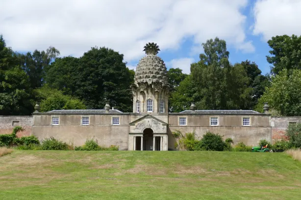 The Pineapple