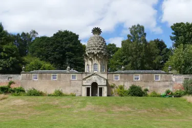 The Pineapple
