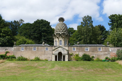 The Pineapple