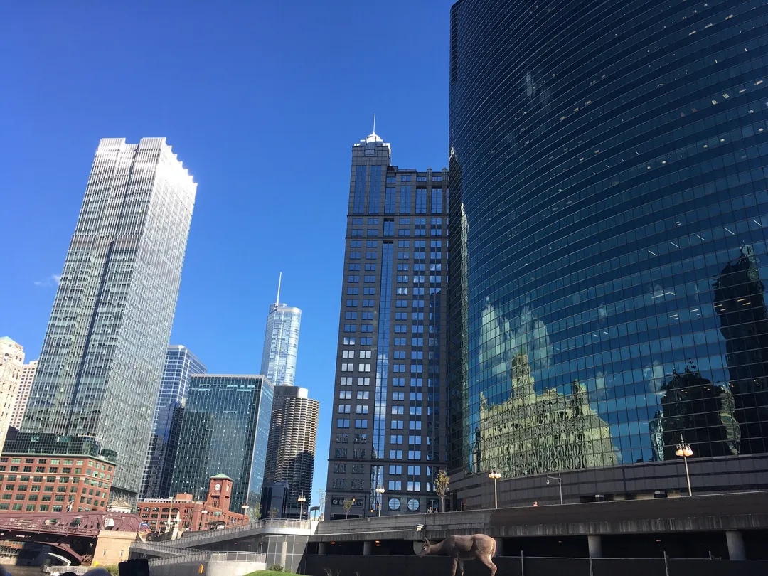 4_Chicago from the Lake Ltd