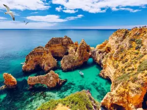 Ponta Da Piedale
