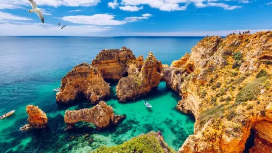 Ponta Da Piedale