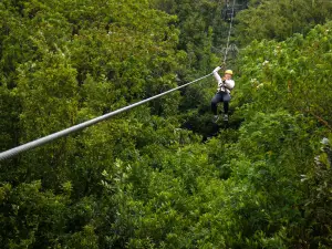 Monteverde Extremo Park