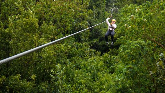 Monteverde Extremo Park